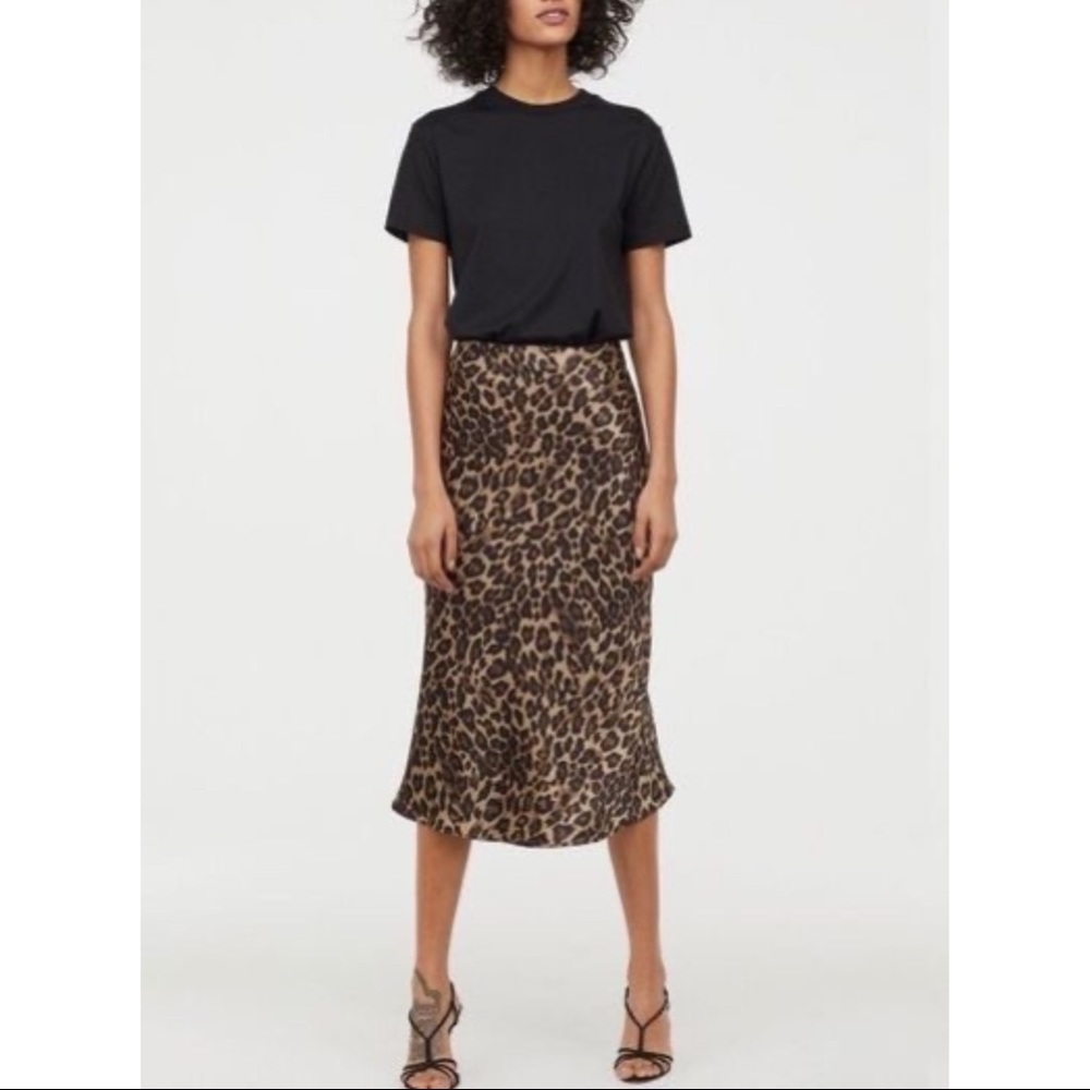 Zara Leopard Print Skirt